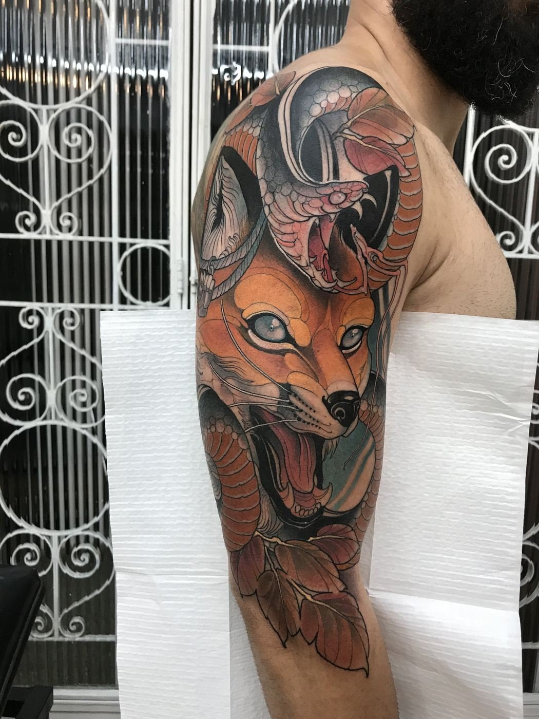 Raposa, neo-tradicional